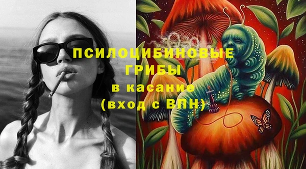 соль ск Тында