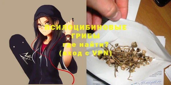 сатива Усмань