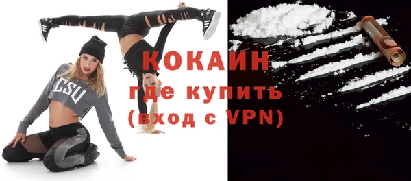 соль ск Тында