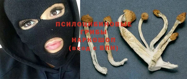 соль ск Тында