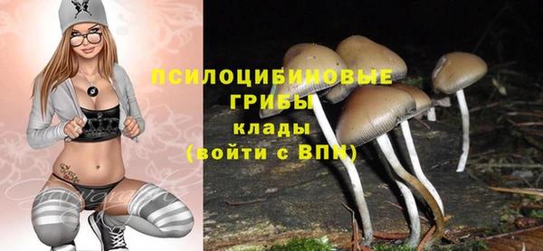 сатива Инсар