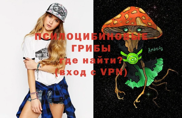 дурь Ельня