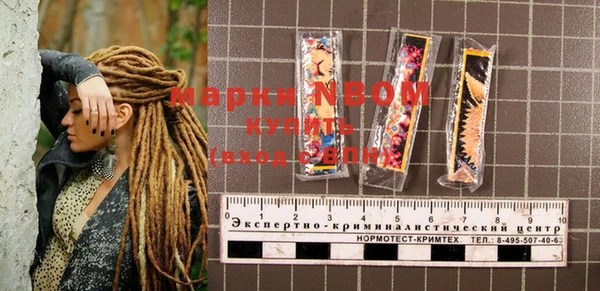 PSILOCYBIN Инта