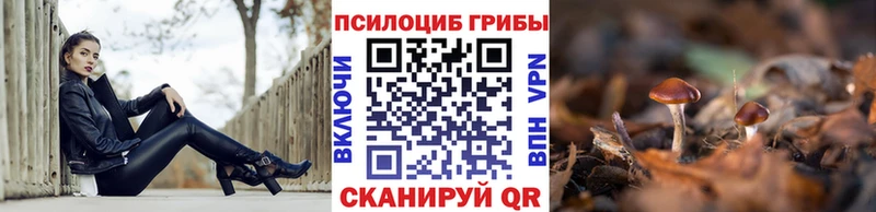 Галлюциногенные грибы Magic Shrooms ОМГ ОМГ как войти Балтийск